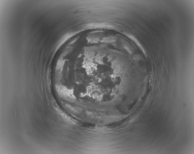 X0000081610983200701291422