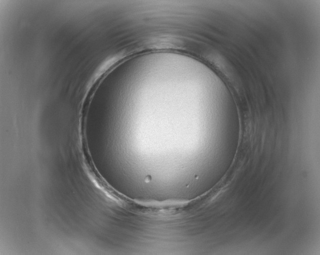 X0000081610986200701291422