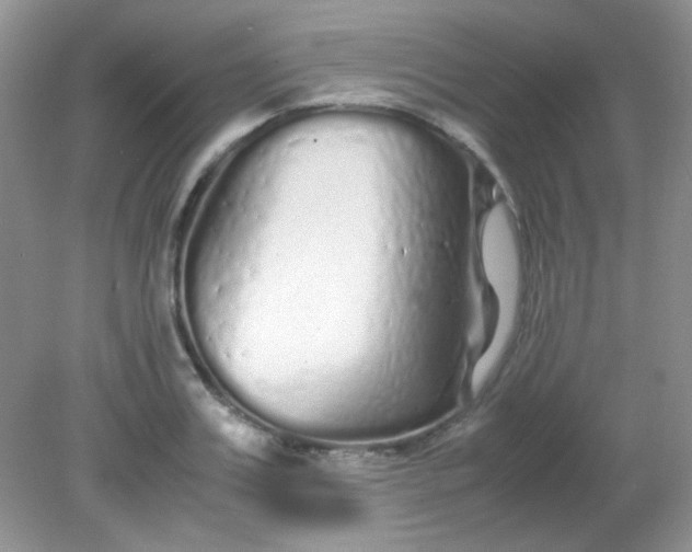 X0000081610987200701291422