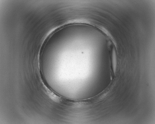 X0000081610988200701291422