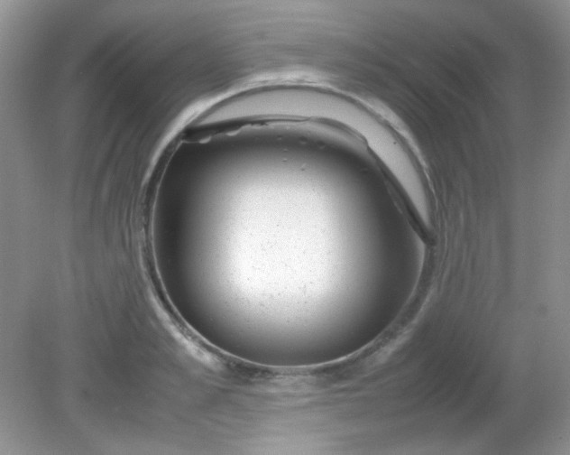 X0000081610989200701291422