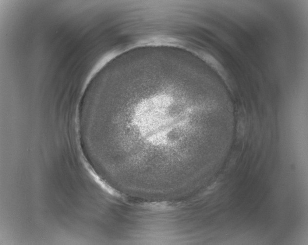 X0000081610990200701291422