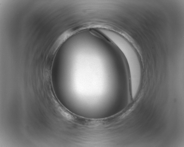 X0000081610993200701291422