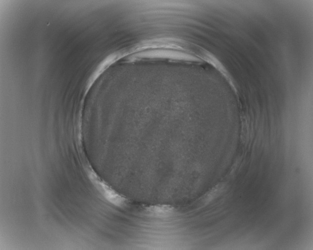 X0000081610994200701291422