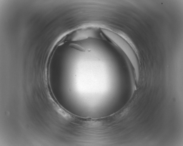 X0000081610996200701291422