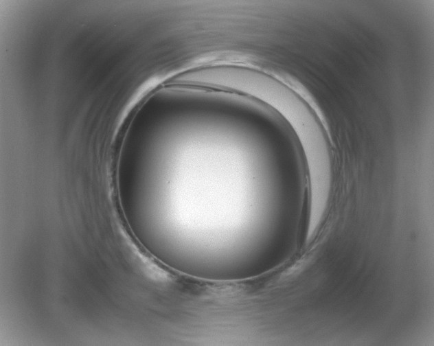 X0000081610997200701291422