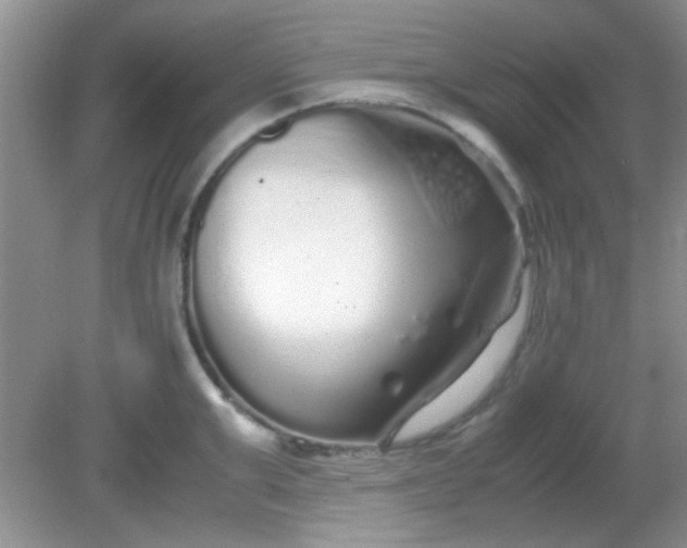 X0000081610999200701291422