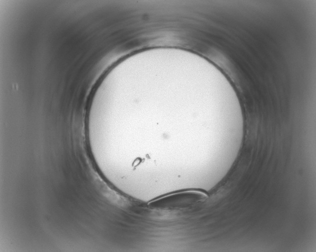 X0000081611000200701291422