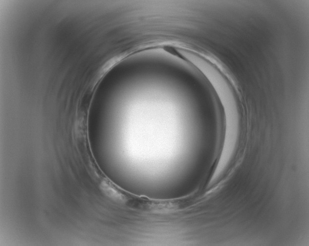 X0000081611001200701291422