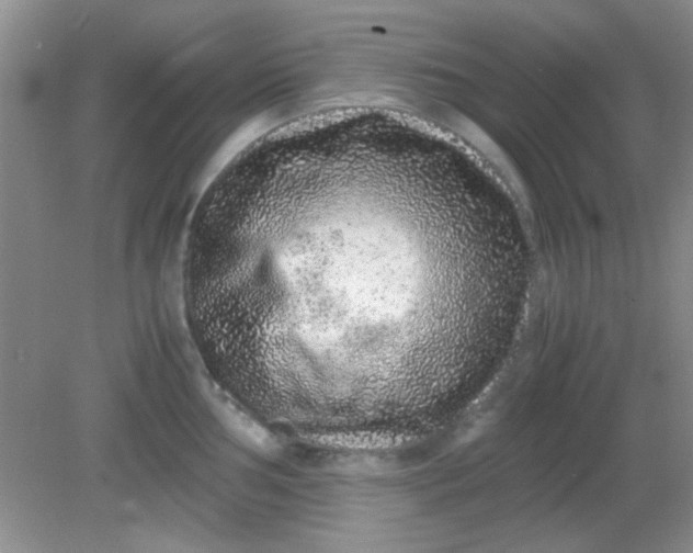 X0000081611002200701291422