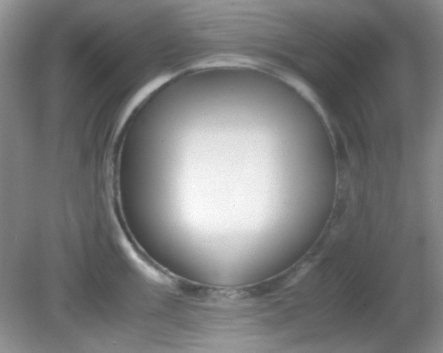 X0000081611003200701291422