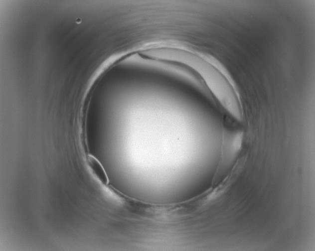 X0000081611005200701291422