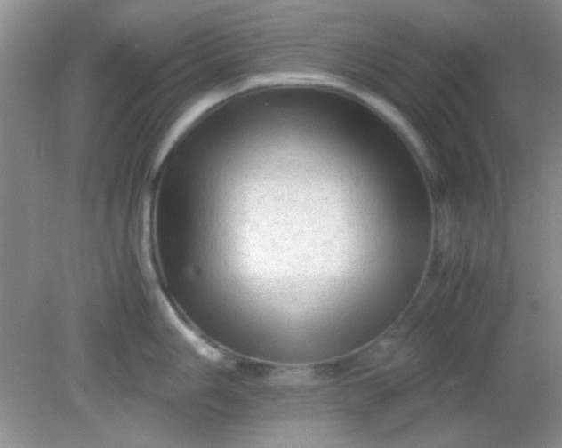 X0000081611006200701291422