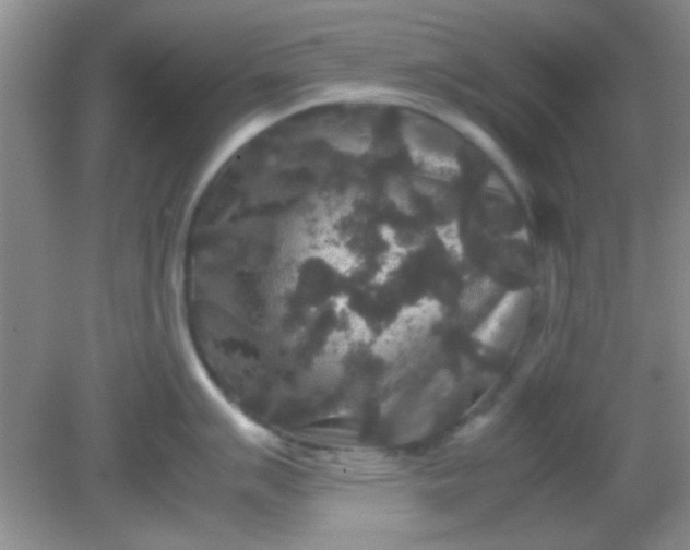 X0000081611007200701291422