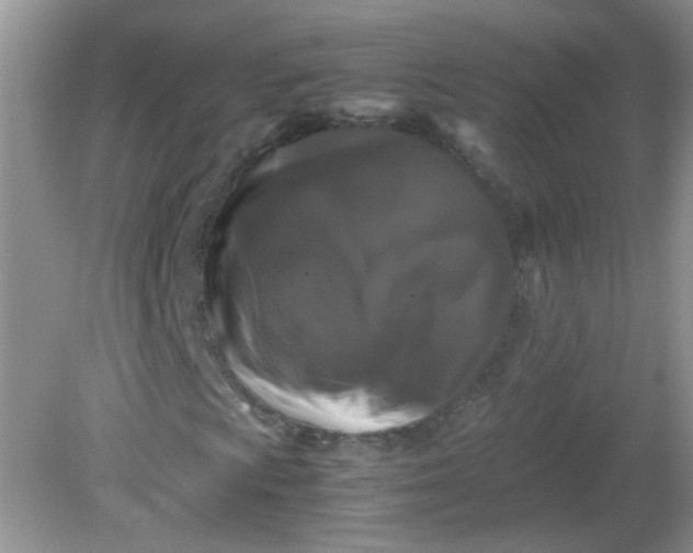 X0000081611009200701291421