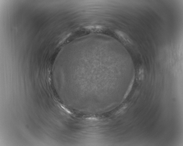 X0000081611010200701291421