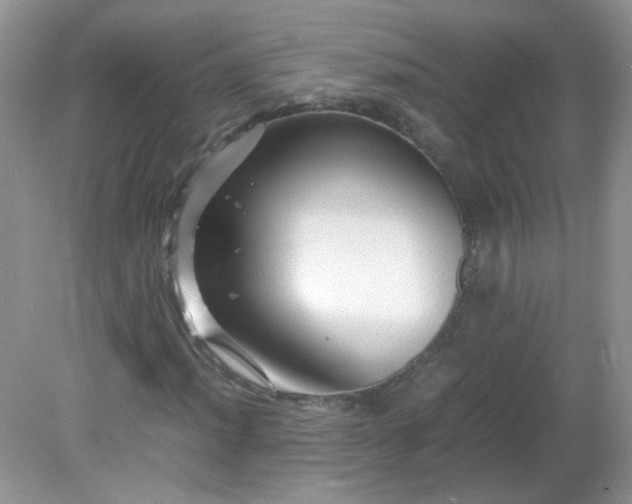 X0000081611012200701291421