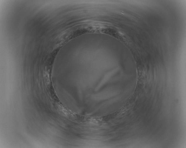 X0000081611013200701291421