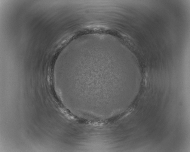 X0000081611014200701291421