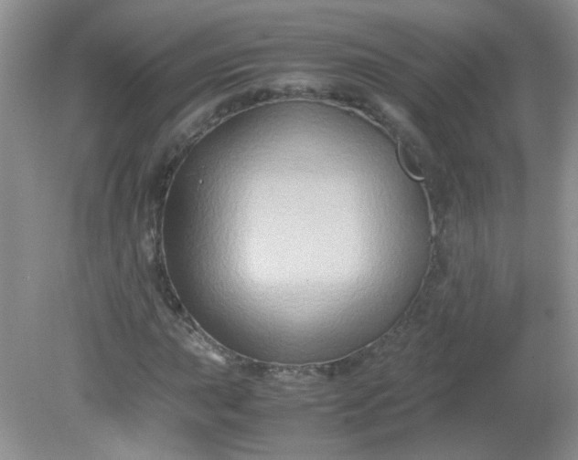 X0000081611015200701291421