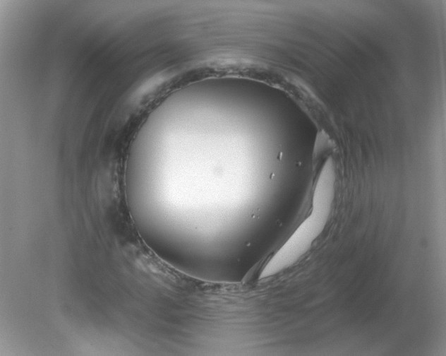 X0000081611016200701291421