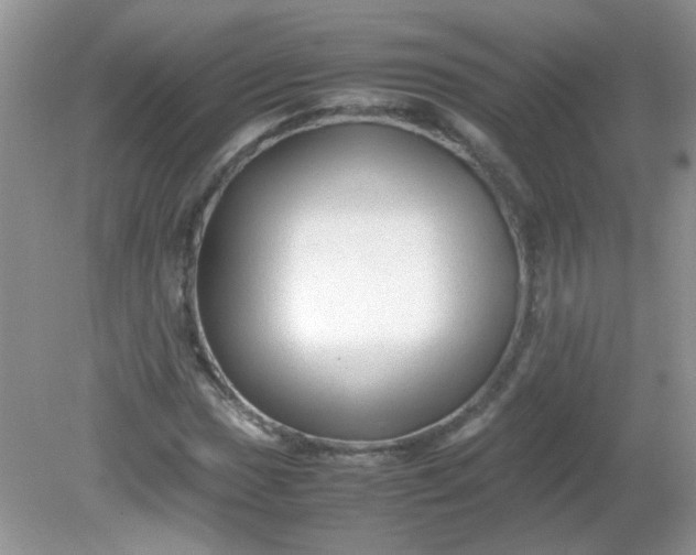 X0000081611017200701291421