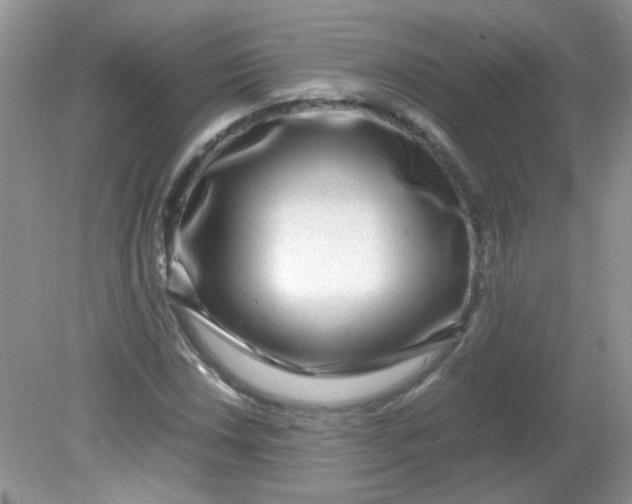 X0000081611018200701291421