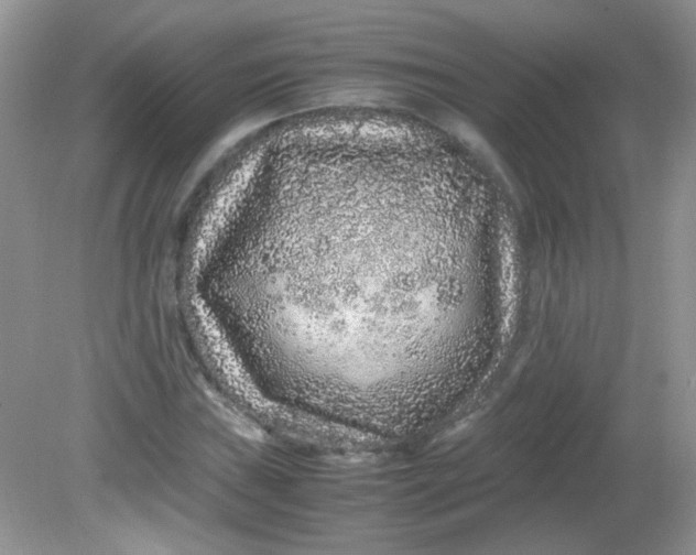 X0000081611019200701291421