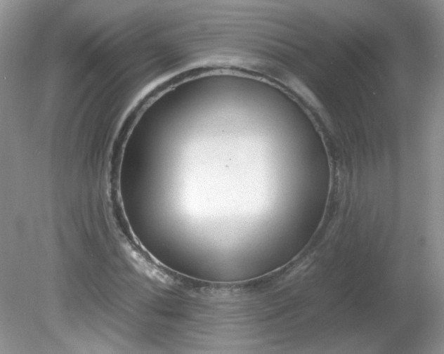 X0000081611020200701291421