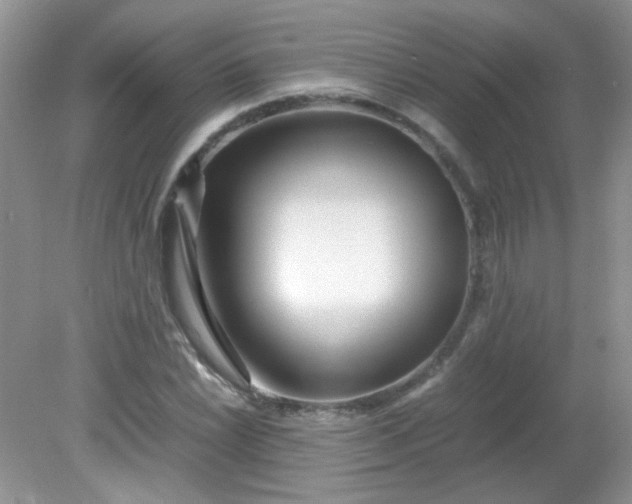 X0000081611022200701291421