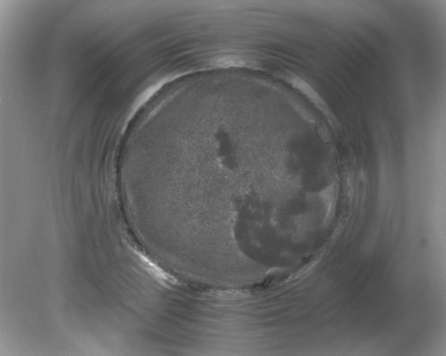 X0000081611023200701291421