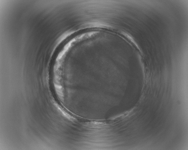 X0000081611024200701291422