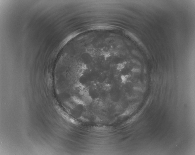 X0000081611025200701291422