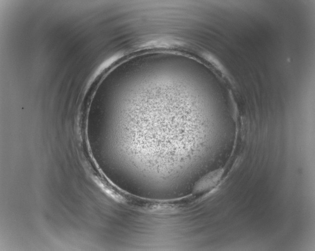 X0000081611026200701291422