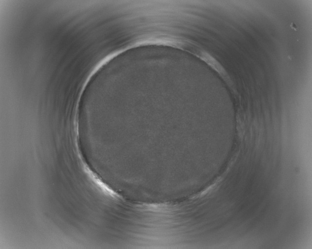 X0000081611028200701291422