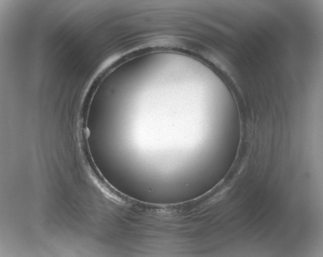 X0000081611029200701291422