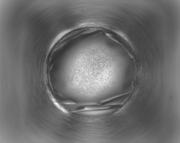 X0000081611030200701291422