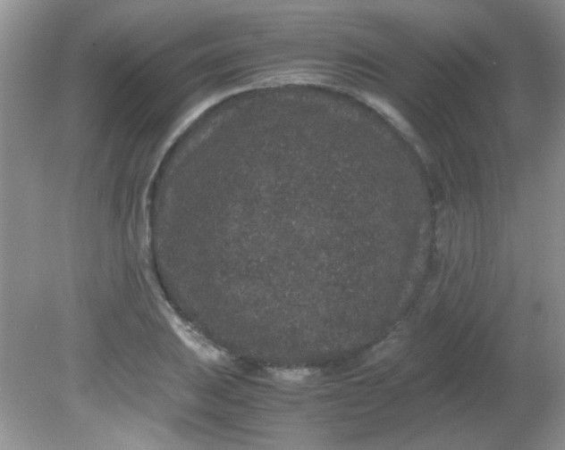 X0000081611031200701291422