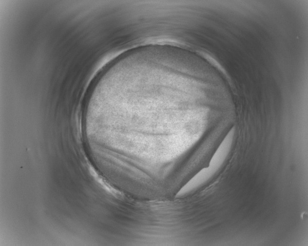 X0000081611032200701291422