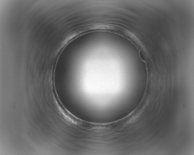 X0000081611033200701291422