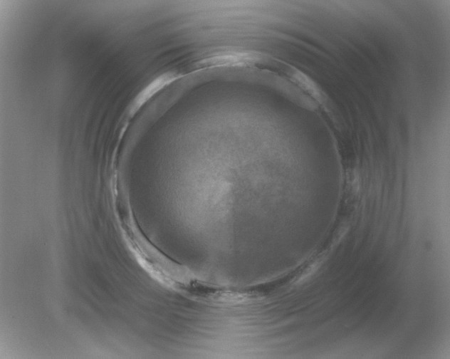 X0000081611034200701291422