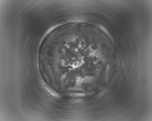 X0000081611035200701291422