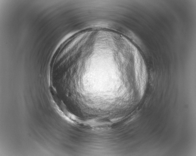 X0000081611036200701291422