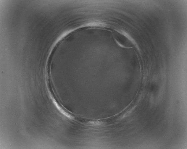 X0000081611037200701291422