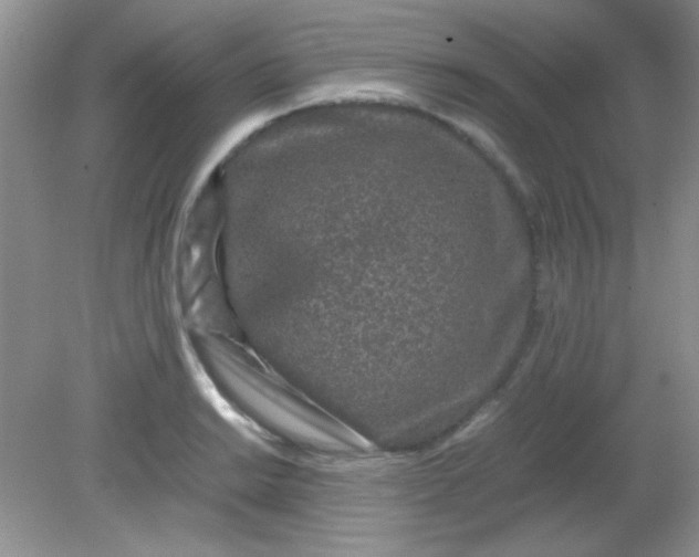 X0000081611038200701291422