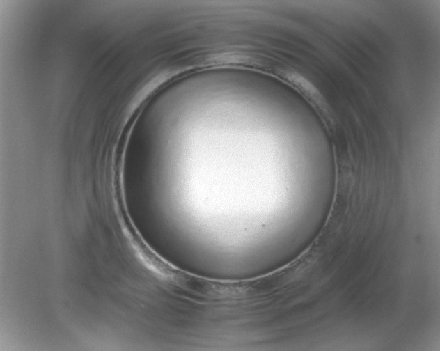 X0000081611039200701291422