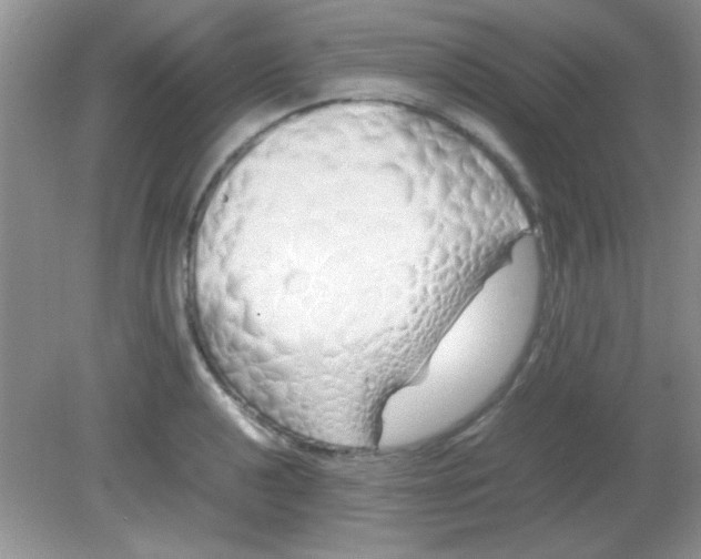 X0000081611040200701291422