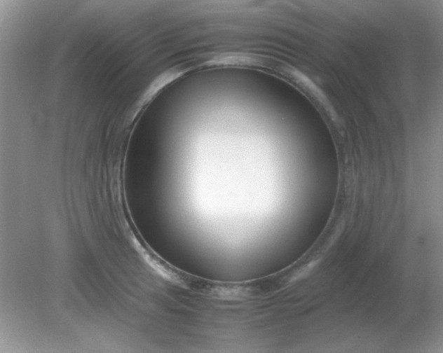 X0000081611041200701291422