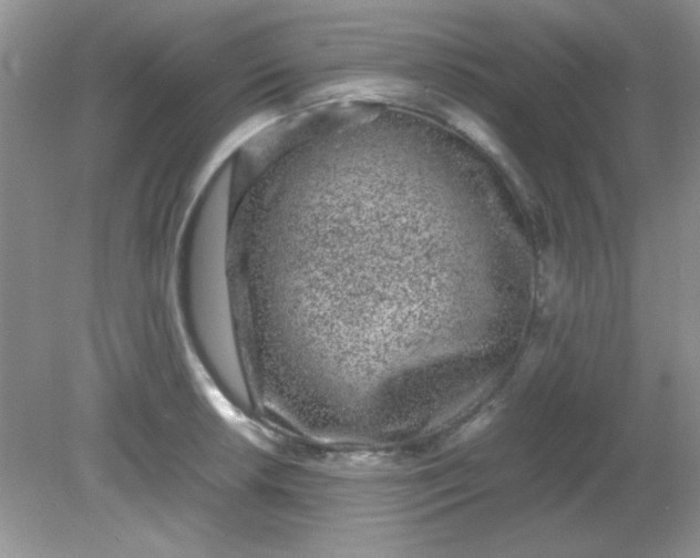 X0000081611042200701291422