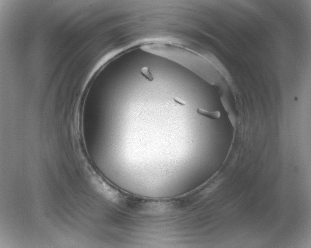 X0000081611044200701291422